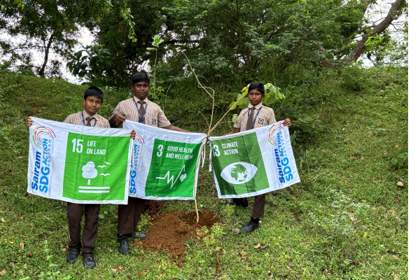 Planting Trees Near Lake Borders